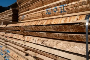 Weißkiefer Schnittholz